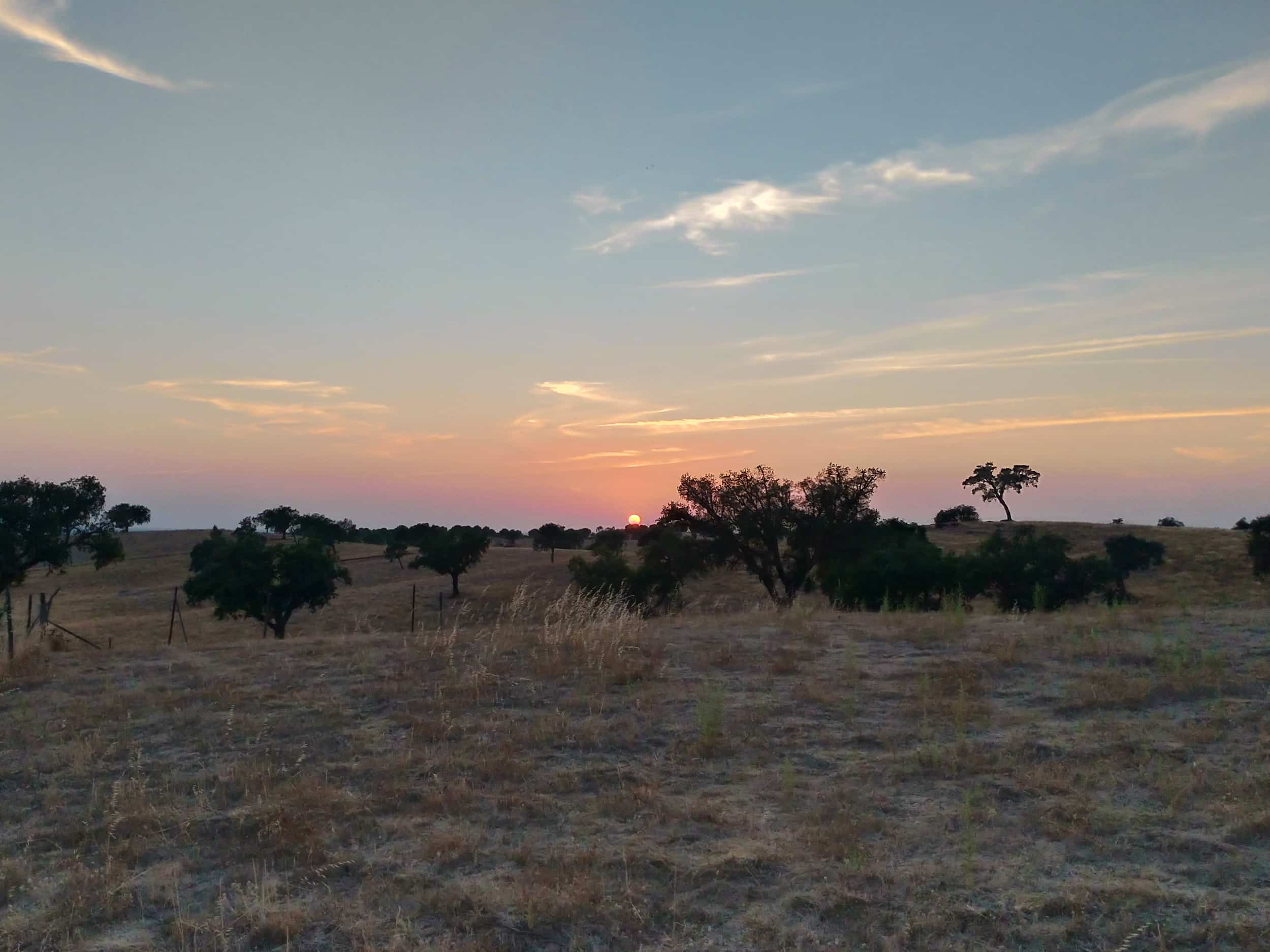 Amanhecer a Sul — Sul